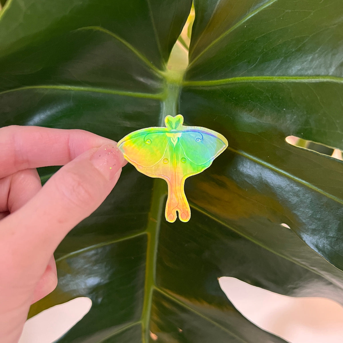 Small Holographic Luna Moth Sticker