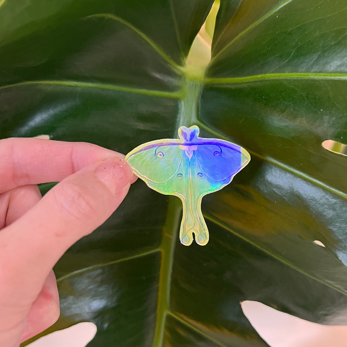 Small Luna Moth holographic sticker