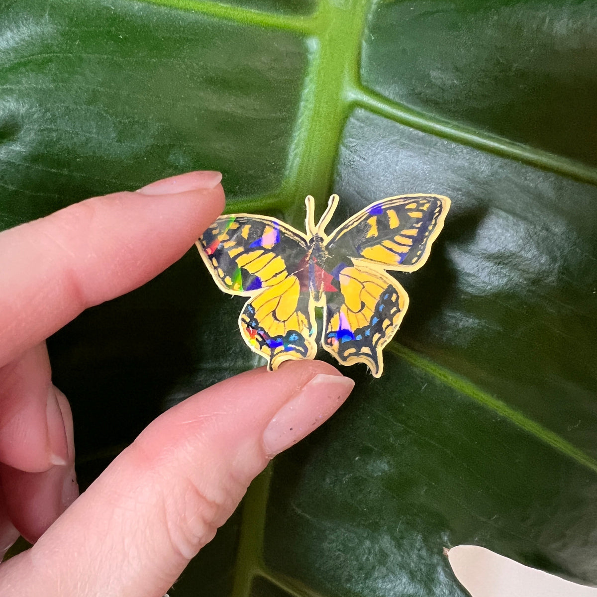 Butterfly-shaped sticker held by a hand against a green leaf background