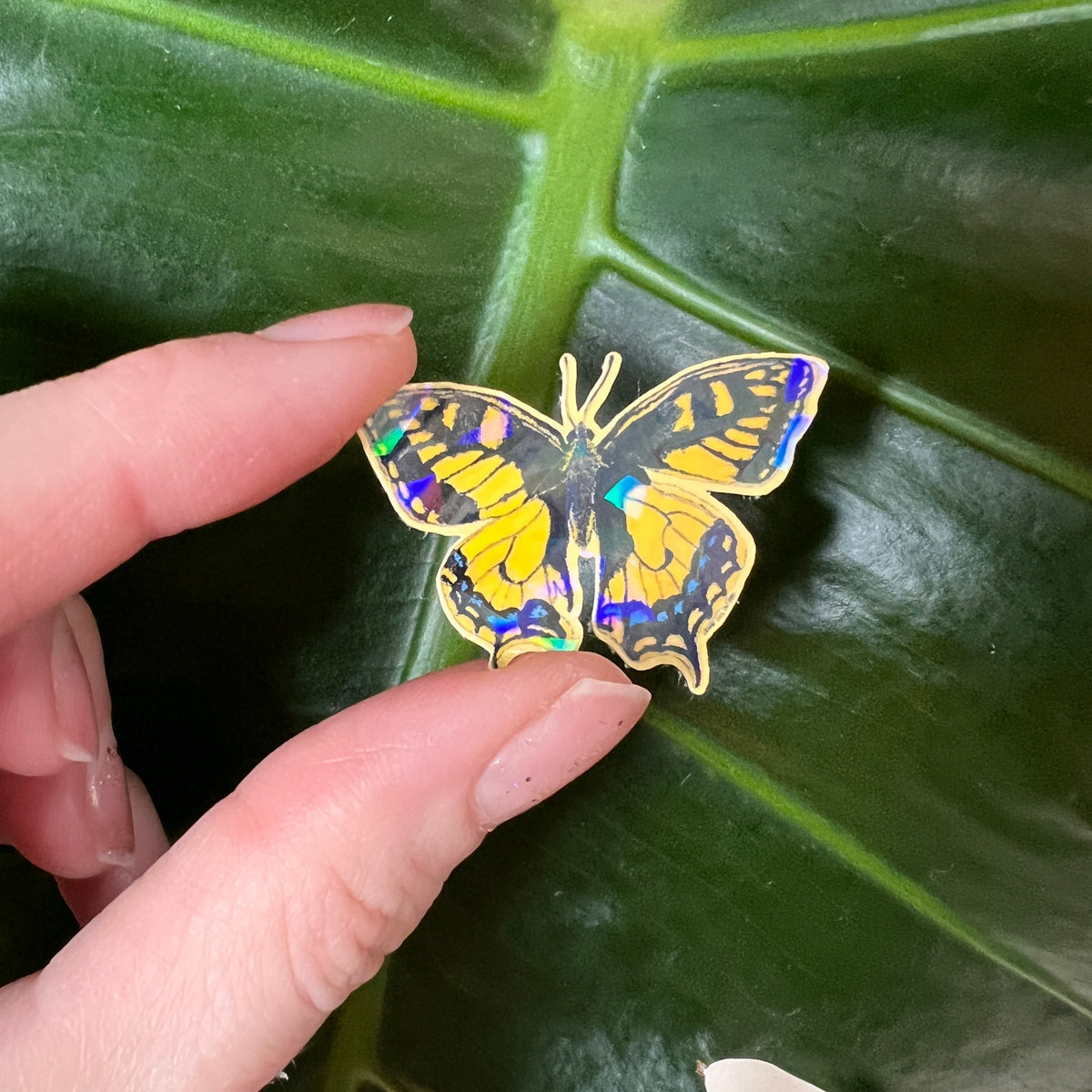 Butterfly-shaped sticker held over a leaf