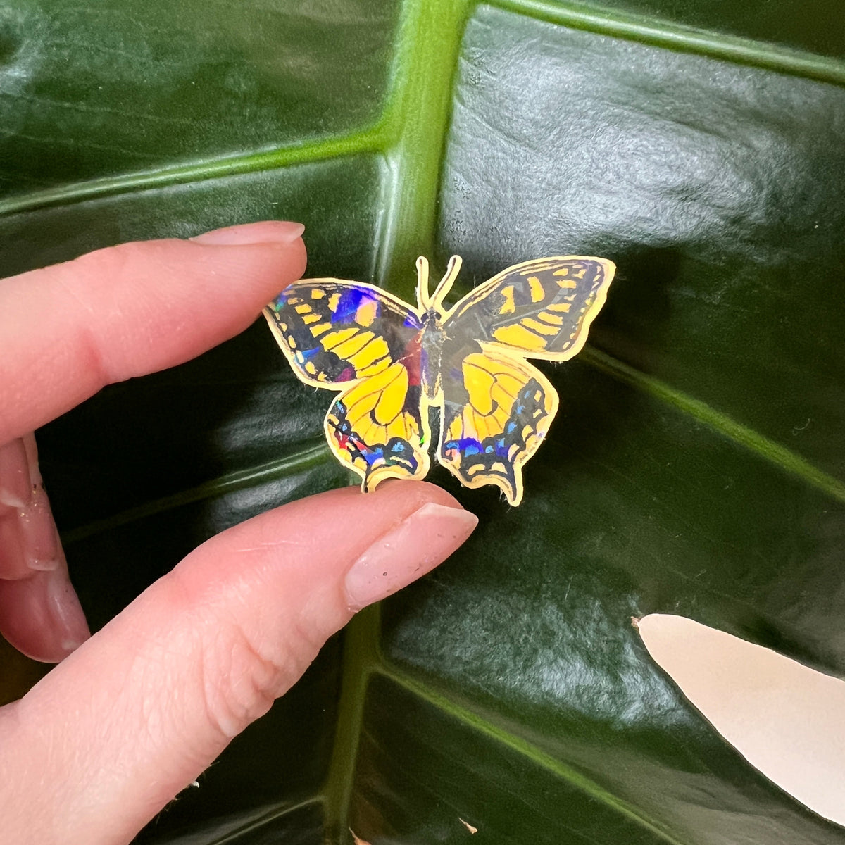 Butterfly-shaped sticker held over a large green leaf