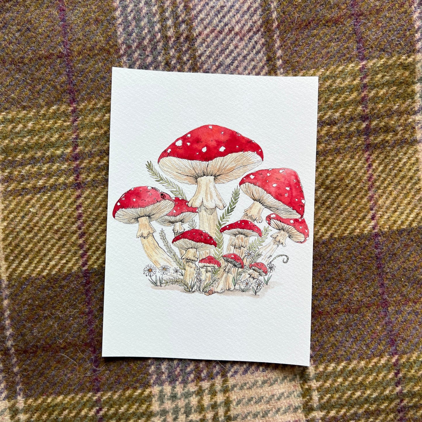 Red Mushroom Cluster Illustration set against a plaid fabric background
