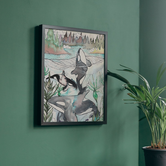 image of a framed watercolor painting of orcas off the coast of the pacific northwest in an illustrative style. The image is hung on a green wall with a small plant in the corner