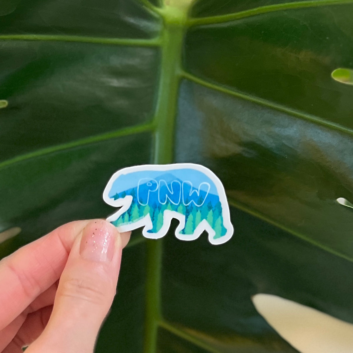 Hand holding a PNW sticker with a bear design against a green leaf background