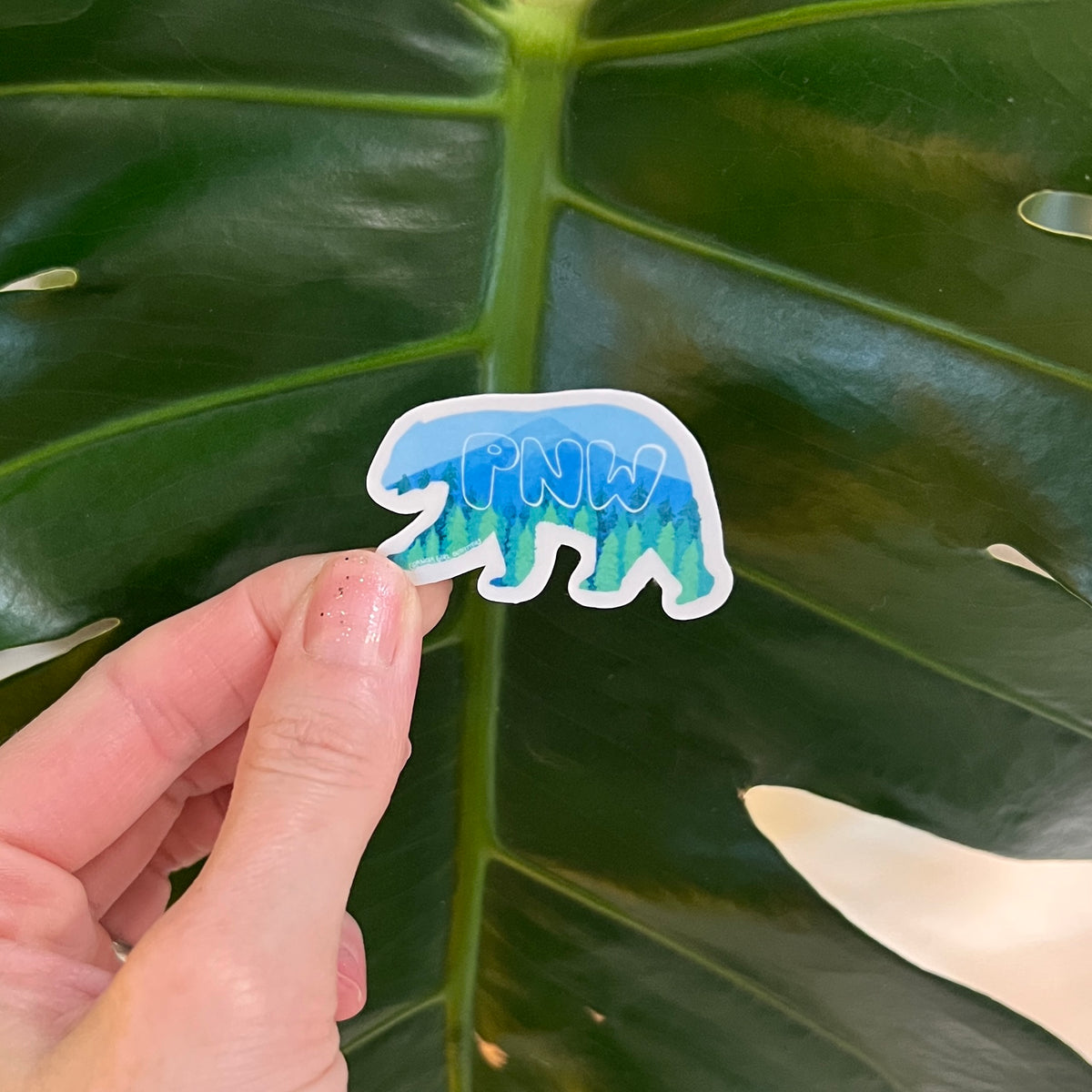 Hand holding a bear-shaped sticker with 'PNW' text against a leaf background