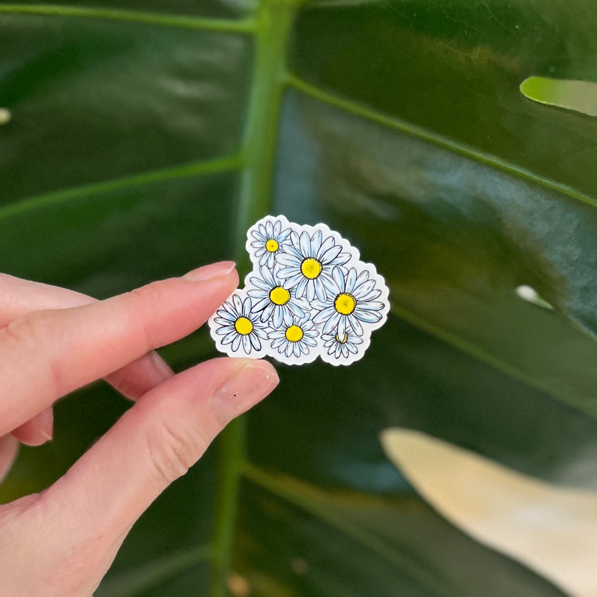 Hand holding a sticker of daisies against a leafy green background