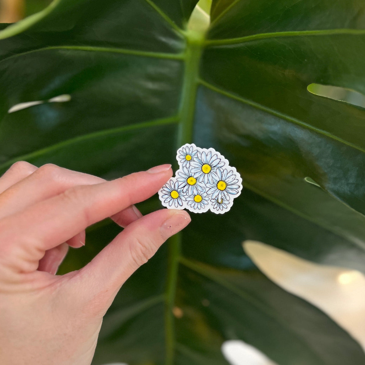 Hand holding a daisy sticker against a leaf background