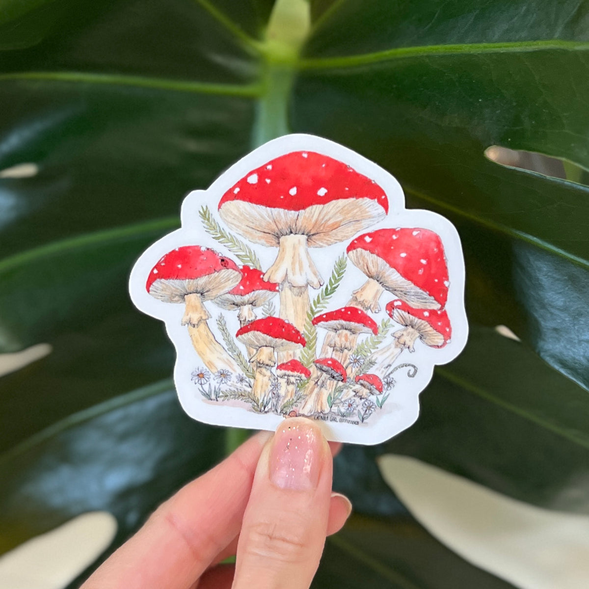 Sticker of red mushrooms held against a green leafy background