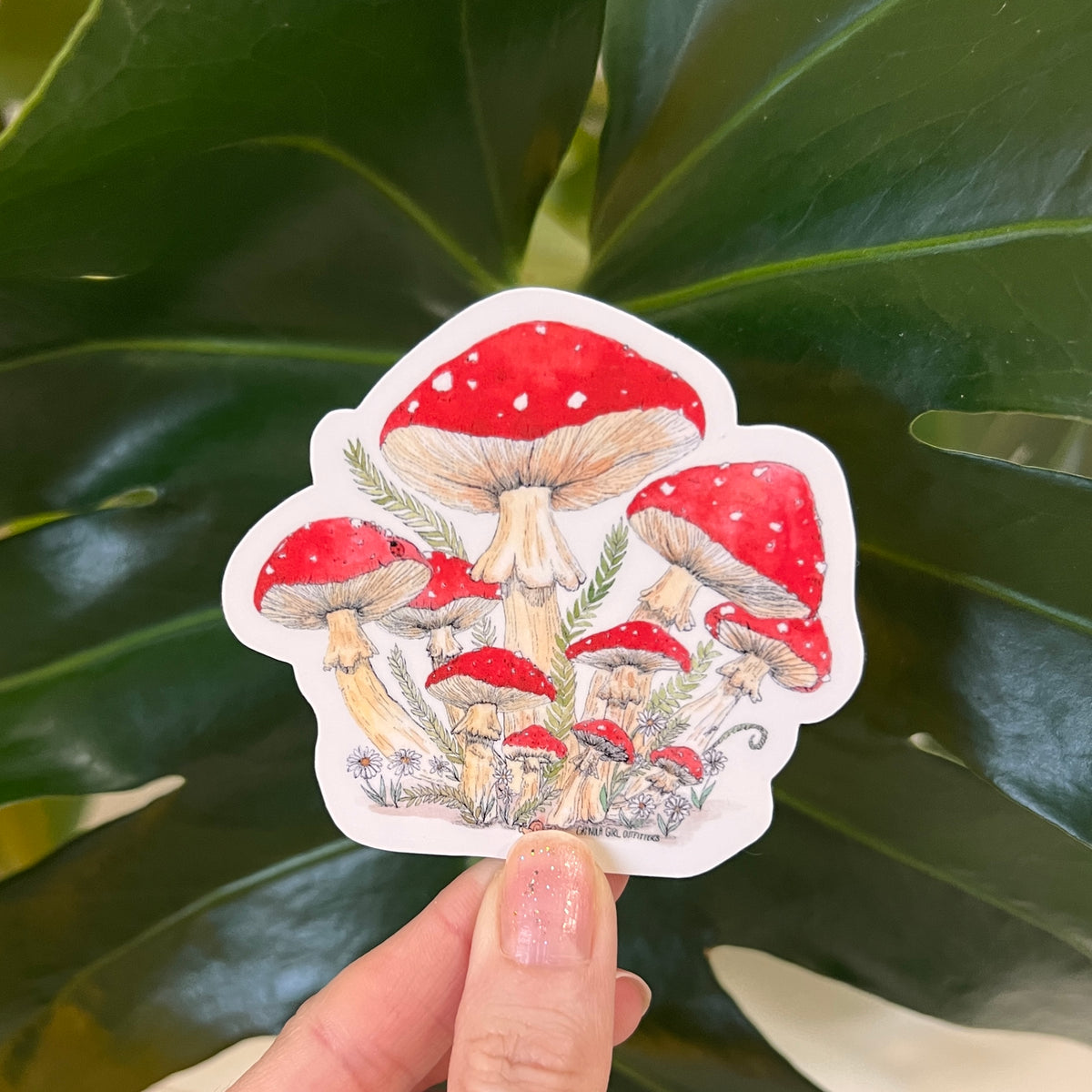 Sticker of mushrooms held in front of green leaves