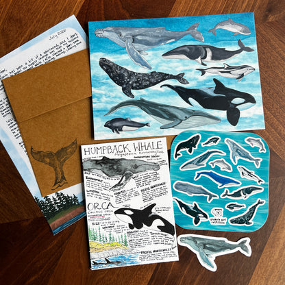 A whale themed mail club laid out on a wooden background and features a postcard, sticker sheet, sticker, letter, envelope and a field guide